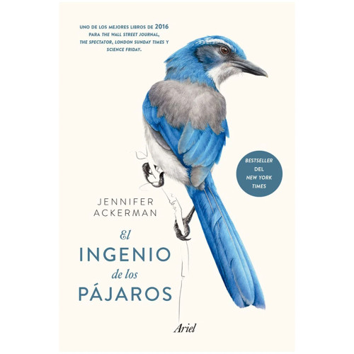 INGENIO DE LOS PAJAROS