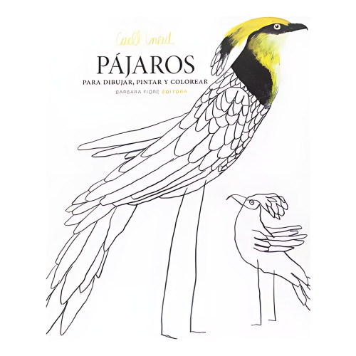 PAJAROS: PARA DIBUJAR PINTAR Y COLOREAR