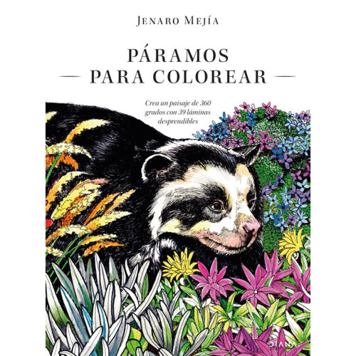PARAMOS PARA COLOREAR
