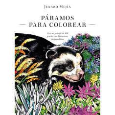PARAMOS PARA COLOREAR