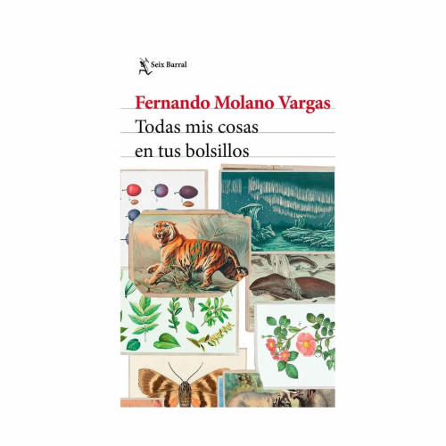 TODAS MIS COSAS EN T BOLS