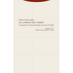 CAMINO DEL SABER COMENTARIO